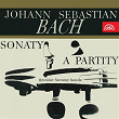 Bach: 6 Violin Sonatas and Partitas | Bretislav Novotný