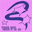 Mirror in the Sky | Peaking Lights