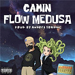 Flow Medusa | Camin