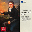 Beethoven: Chamber Music. Gassenhauer Trio, Op. 11, Allegro and Minuet, WoO 26 & Horn Sonata, Op. 17 | Anner Bylsma