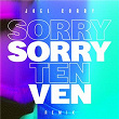 Sorry | Joel Corry