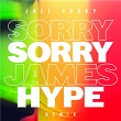 Sorry | Joel Corry