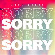 Sorry | Joel Corry