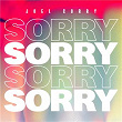 Sorry | Joel Corry