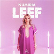 Leef | Numidia