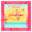 Djon Maya Maï (feat. Victor Démé) | Synapson