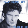 Feeling So High | David Hasselhoff