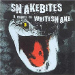 Snakebites: A Tribute To Whitesnake | Doogie White
