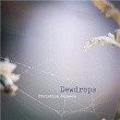 Dewdrops | Christian Janssen