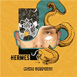 COME SERPENTI | Hermes