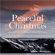Peaceful Christmas 2021 | Holly Jones
