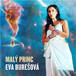 Malý princ | Eva Burešová