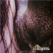 Rise | The Marionettes