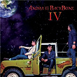 IV | Andra & The Backbone