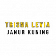 Janur Kuning | Trisna Levia