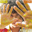 Gatos Pingados | Chico Chico