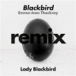 Blackbird | Lady Blackbird