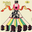 Circus | Sami Swoi