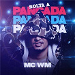 Solta a pancada | Mc Wm