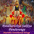 Pandharichya Sakhya Panduranga (Marathi Devotional Songs) | Suresh Wadkar