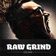 Raw Grind, Vol. 1 (A Selection of Punk, Hardcore & Metal Music) | Mind Erasure