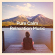 Pure calm relaxation music | Pascal Auberson