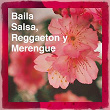 Baila Salsa, Reggaeton y Merengue | Medardo Y Su Orquesta
