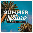 Summer Nature Sounds | Harmony'zen