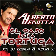 El Paso de la Tortuga | Alberto Benitta
