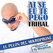 Ai Se Eu Te Pego | El Pelón Del Mikrophone