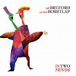 In Two Minds | Michiel Borstlap & Bill Bruford