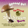 Spaced Out: The Story of Mushroom Records | Pandit Kanwar Sain Trikha