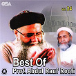 Best Of Prof. Abdul Rauf Roofi, Vol. 24 | Prof. Abdul Rauf Roofi