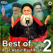 Best Of Prof. Abdul Rauf Roofi, Pt. 2, Vol. 25 | Prof. Abdul Rauf Roofi