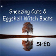 Sneezing Cats and Eggshell Witch Boats | Shed