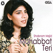 Mohabbat Teri | Shabnam Majid