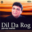 Dil Da Rog | Parvez Mehdi