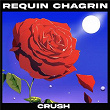 Crush | Requin Chagrin