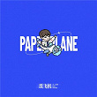 Paper plane | Tian Qi Lan