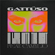 In Love With The Night | Gattüso