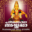 Paadabalam Thaa Ayyappa | M.g. Suresh
