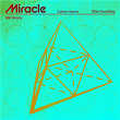 Miracle (MK Remix) | Calvin Harris, Ellie Goulding