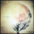 Doomina | Doomina