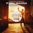 If You Wanna | Cosmic Soul, Tom Novy