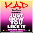 Just How You Like It (Charva Remix) | K.a.d