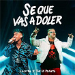 SÉ QUE VAS A DOLER | Luck Ra, The La Planta