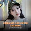 Không Bi?t Ph?i Làm Sao (MeMe Lofi) | Linh Huong Luz, Viam & Meme Media
