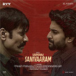 Saripodhaa Sanivaaram (Original Motion Picture Soundtrack) | Jakes Bejoy