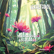 ¡Exaltado! Música para Escolares | Lifeway Kids Worship