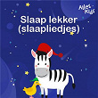 Slaap lekker (slaapliedjes) | Alles Kids, Kinderliedjes Om Mee Te Zingen, Slaapliedjes Alles Kids